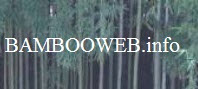 bamboweb