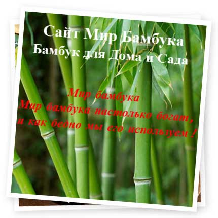 Мир бамбука бамбук для дома исада